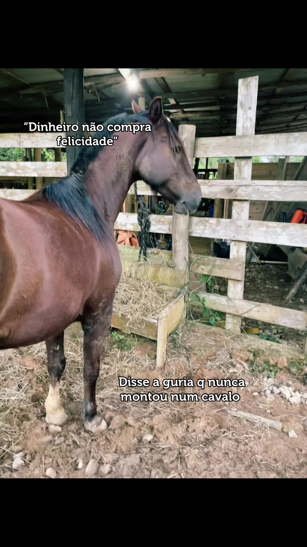 @Dona do Colorado🤎🐴
