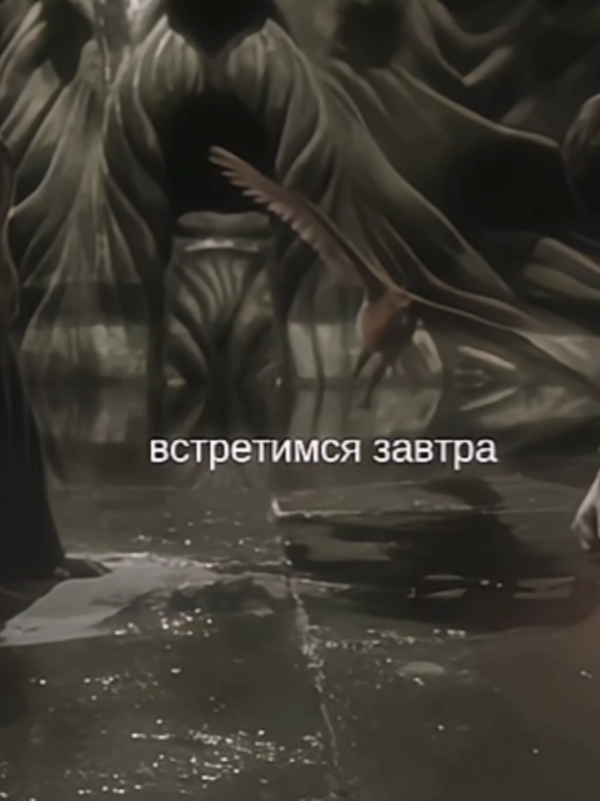 @κ᧘уδнᥙчнᥲя