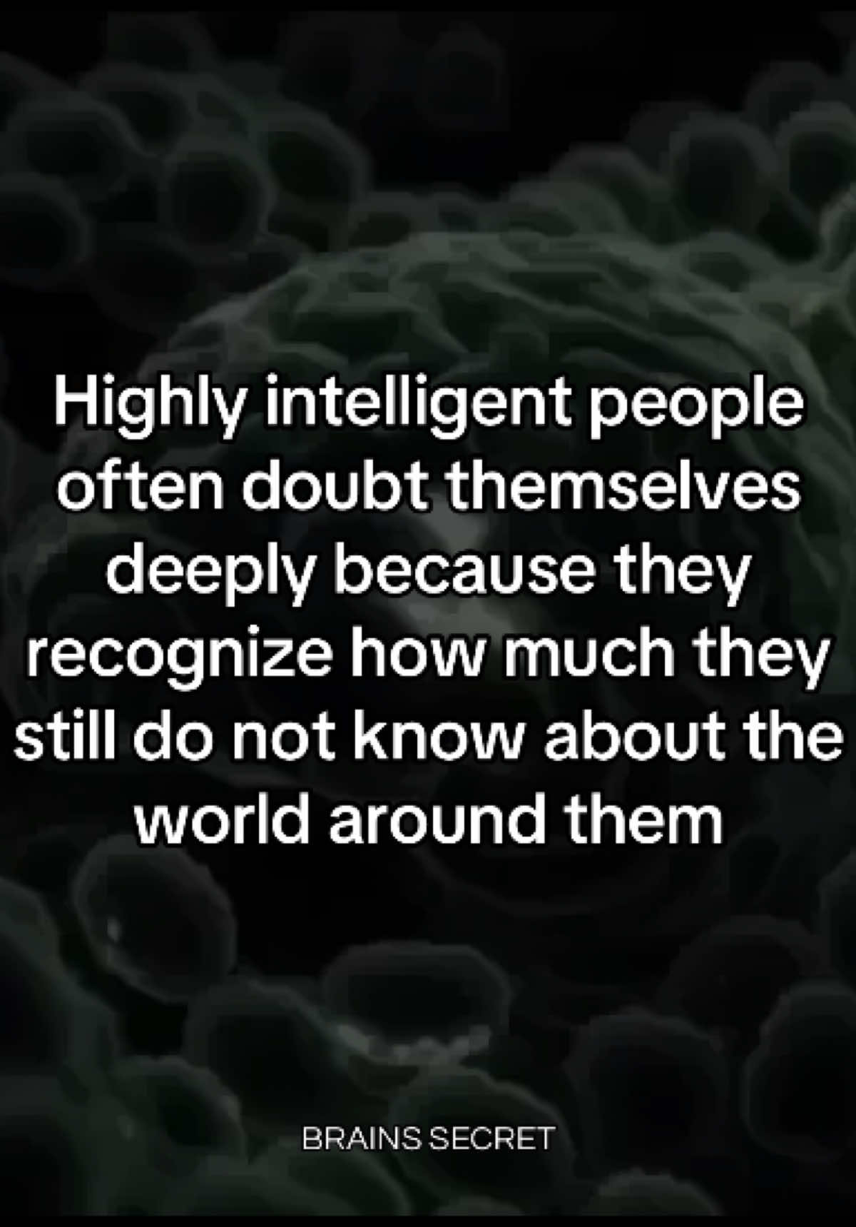 @Brains secret