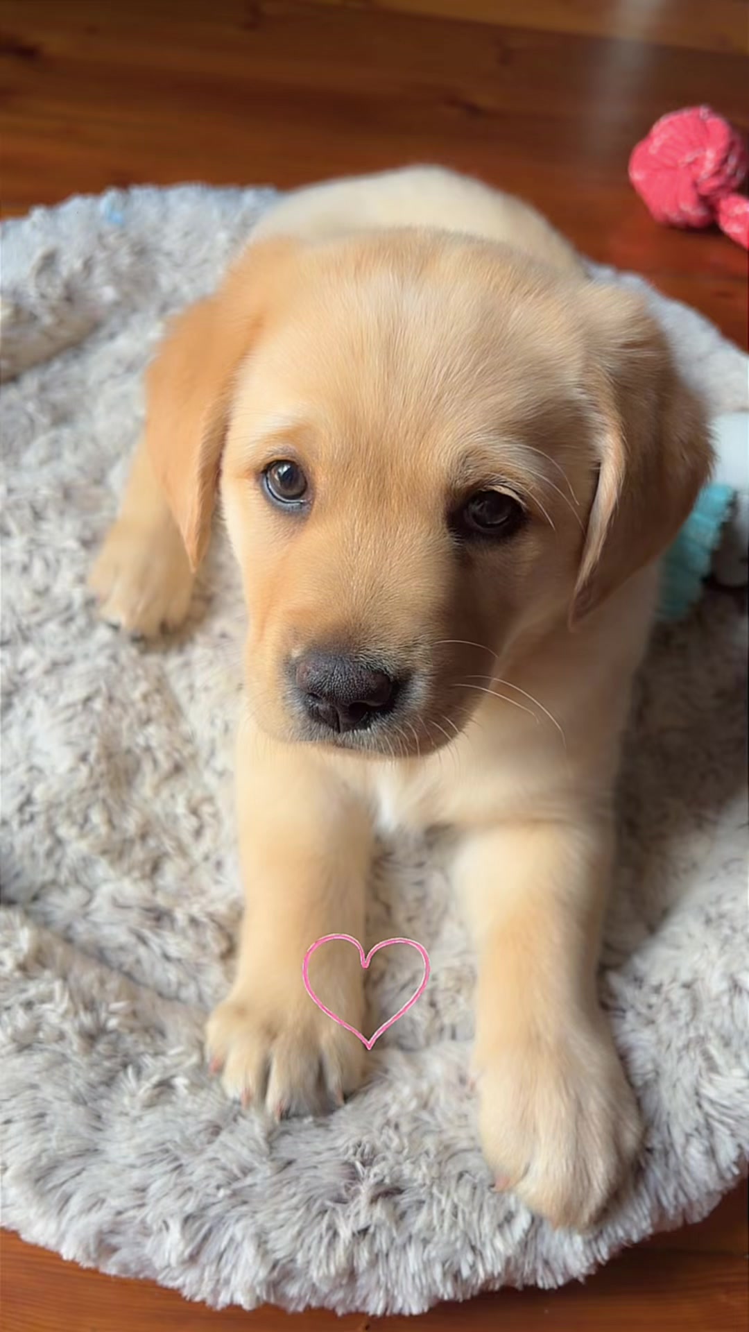 @fjnkuri 🧑&zwj;🧑&zwj;🧒&zwj;🧒🐾💝