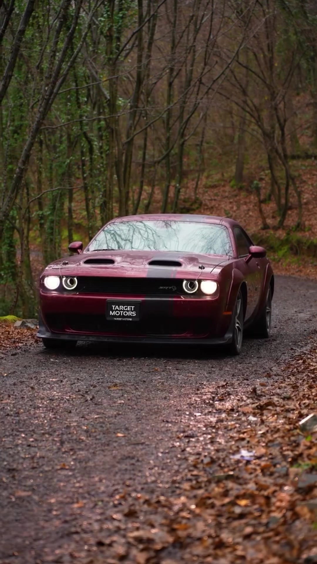 @targetmotors