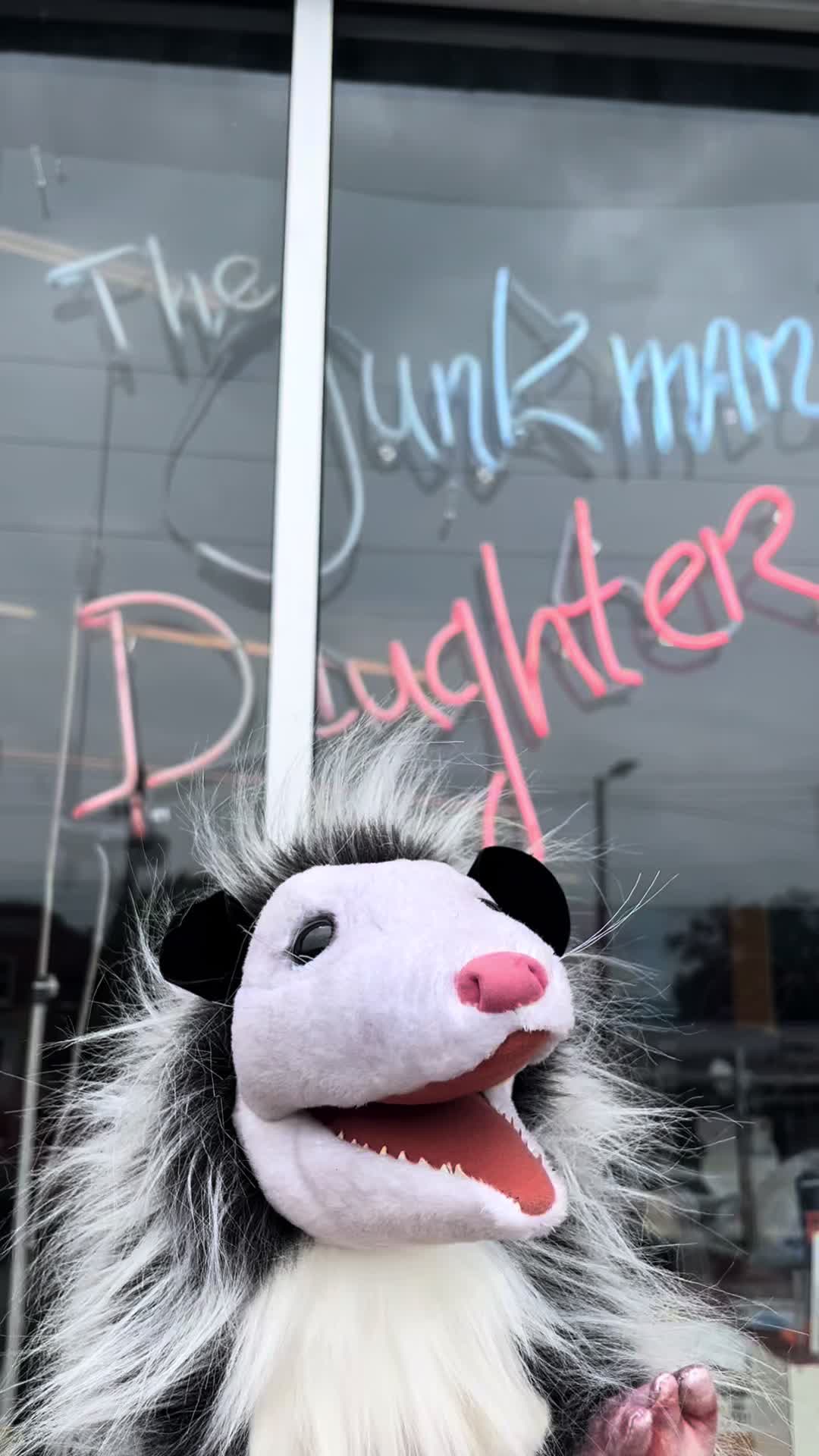 @The Junkman’s Daughter