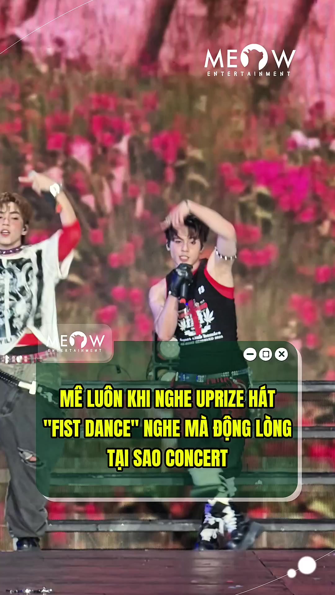 @MEOW ENTERTAINMENT