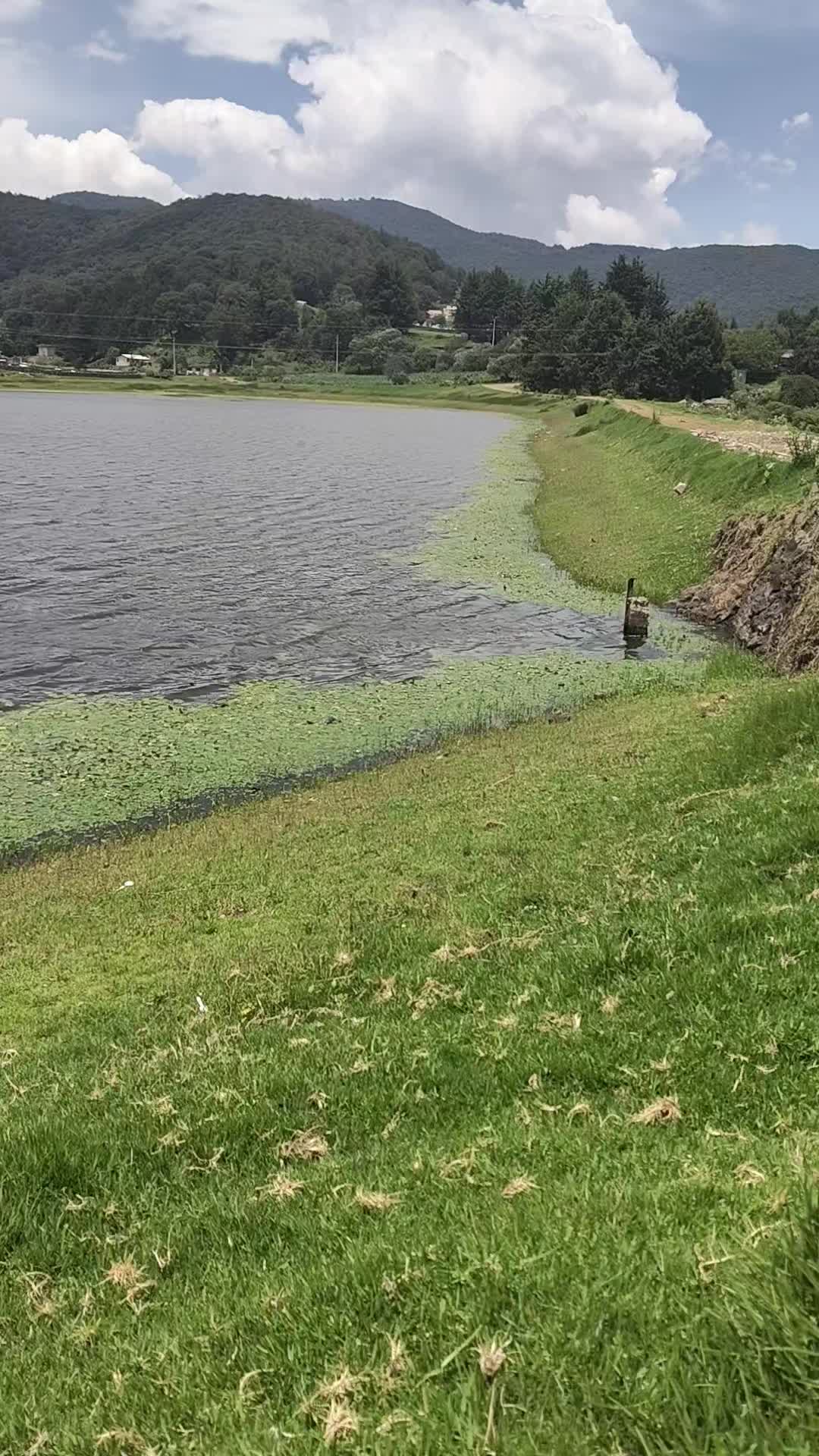 @❤️🔥🍒🙌🏼🦄ESTIBY🐂🌸💚🌎