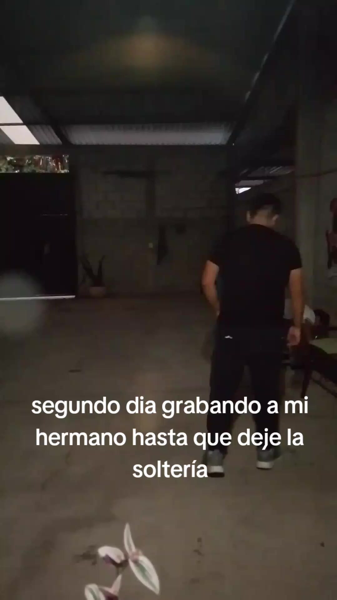 @Elided Dominguez
