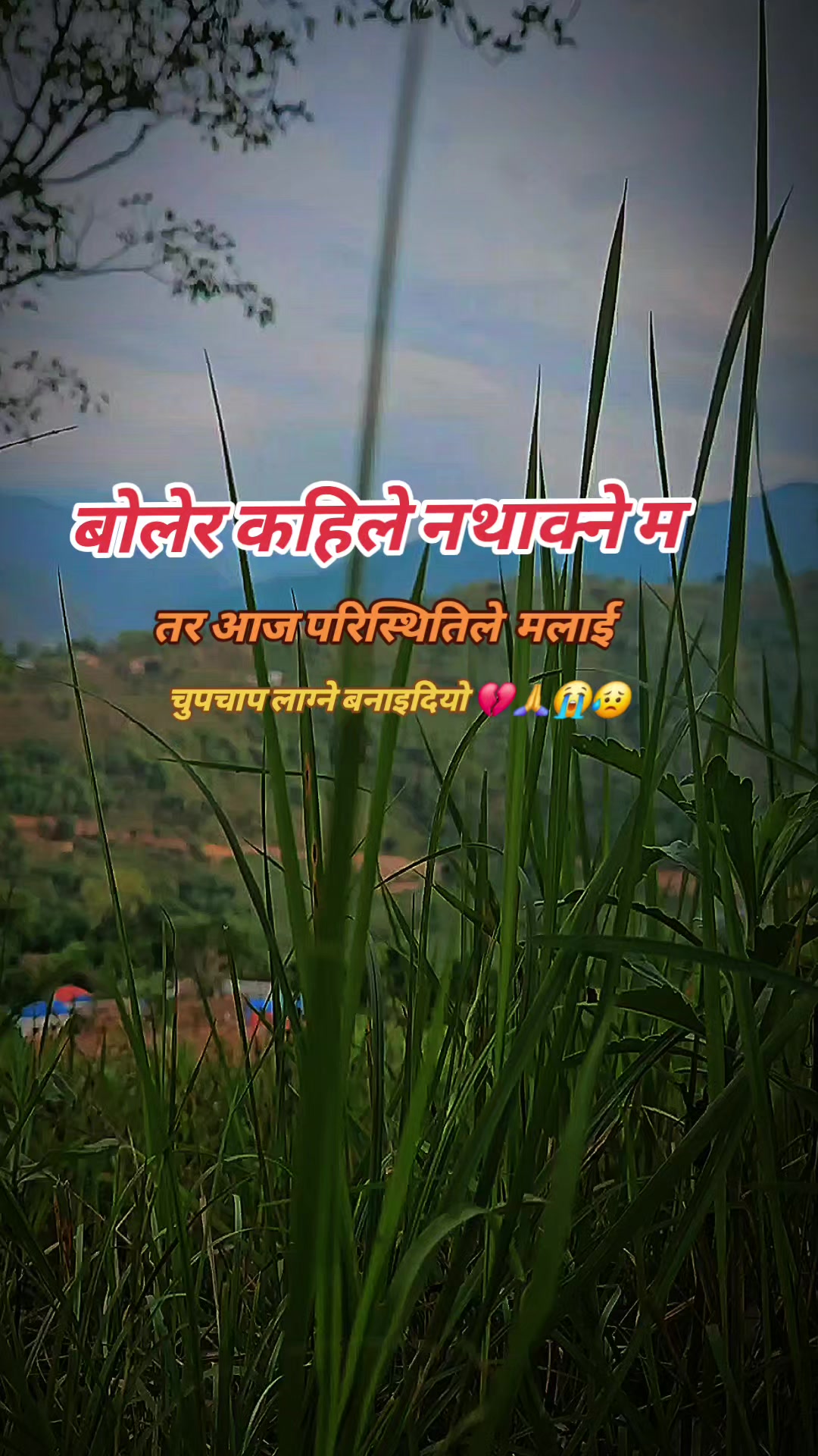 @AASHISH🤗🤗