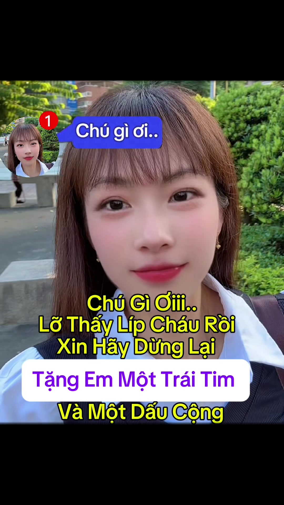 @KIẾN LỬA (螞蟻 )