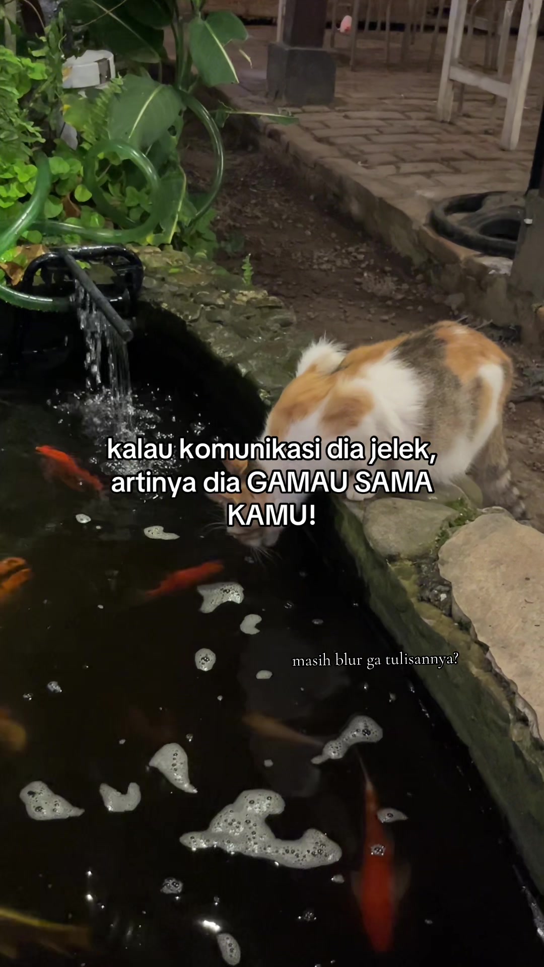 @enamapril🥀
