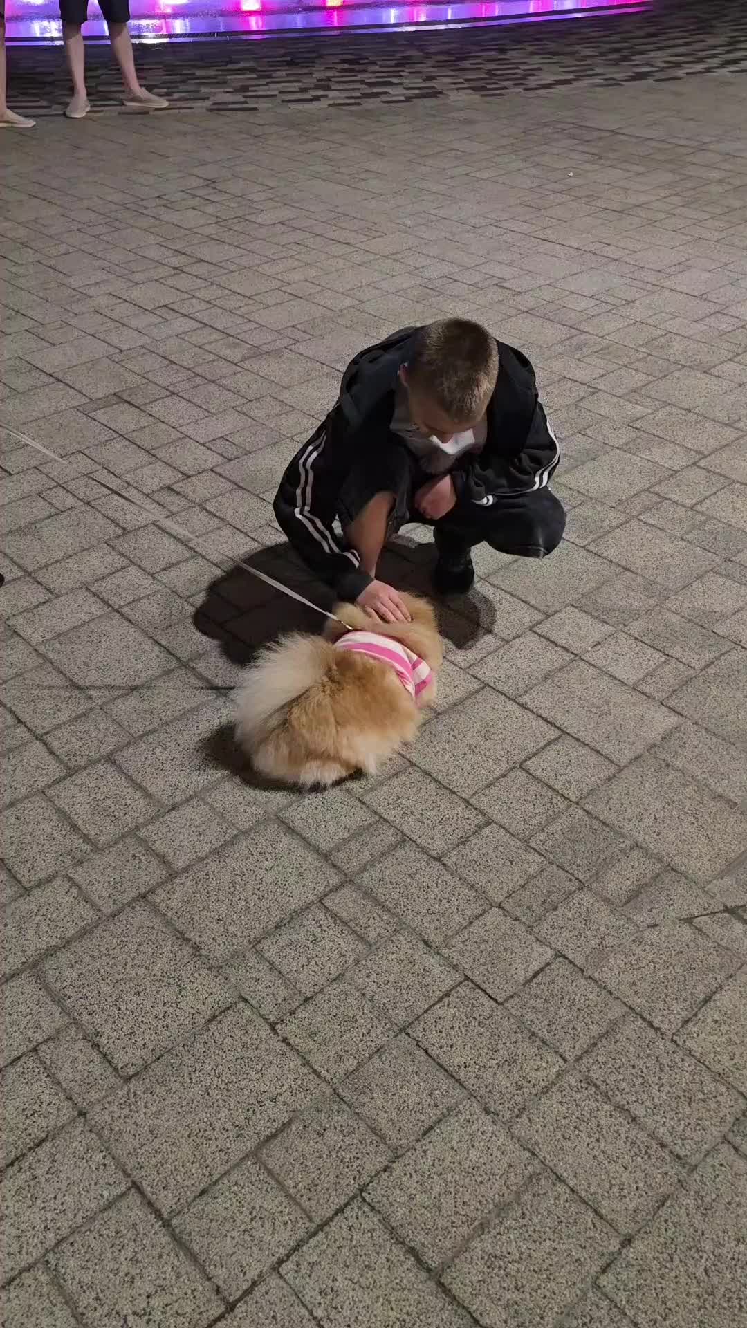 @Мега ЛАПОТЬ