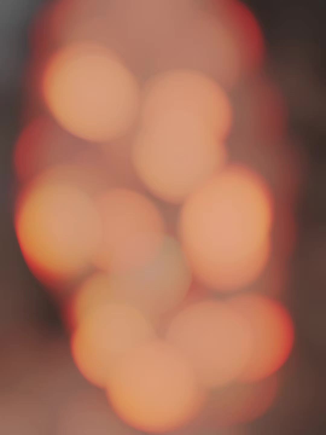 @🦋𝓐𝓵𝓮𝓳𝓪𝓷𝓭𝓻𝓪🦋