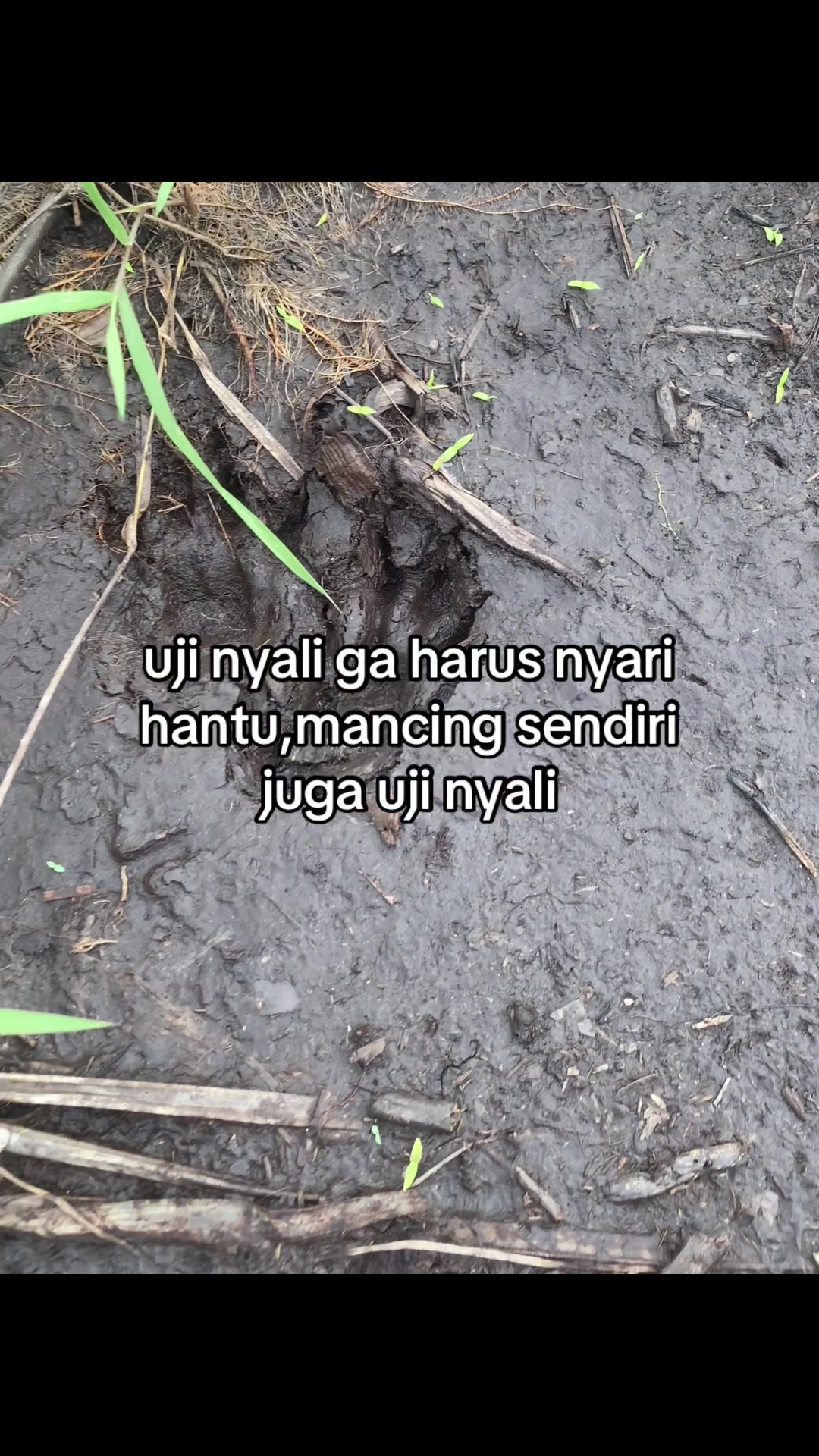 @BAIHAKI