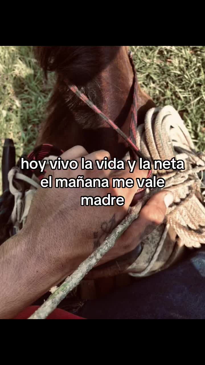 @Erwin Pérez 🐎🤠✨
