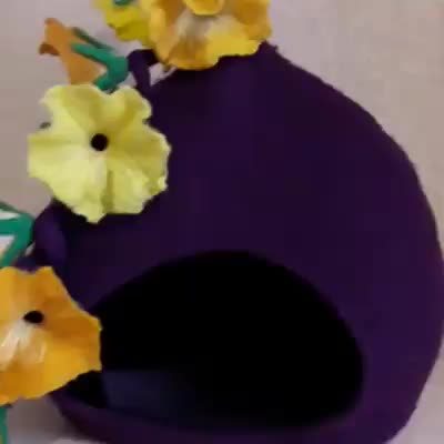 @Елена Скрипка