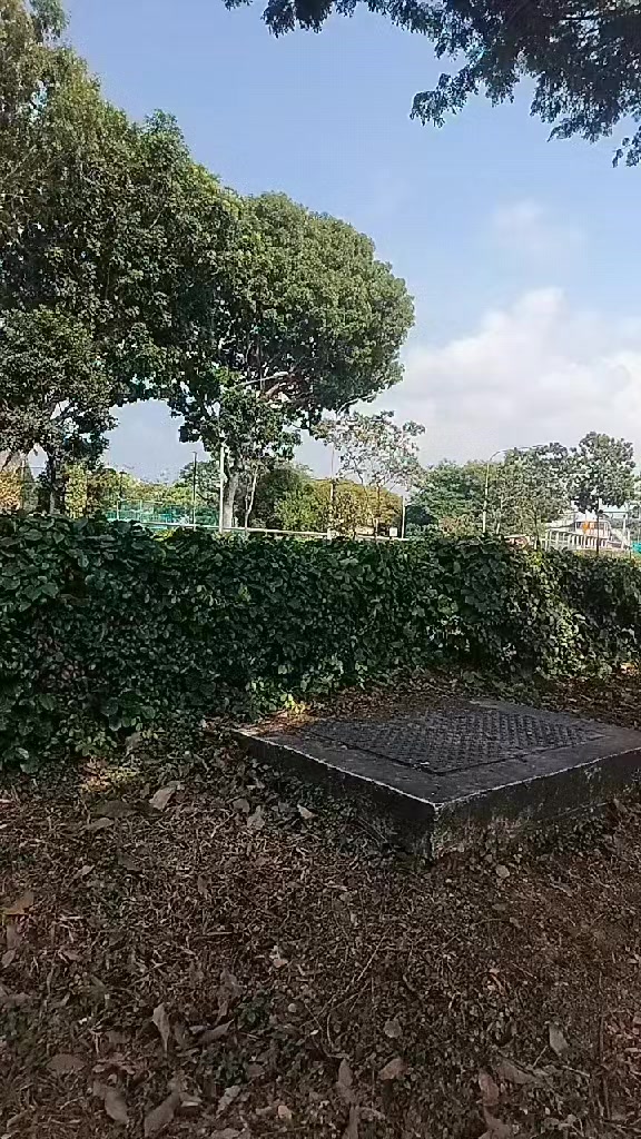 @Saraswati Adhikari