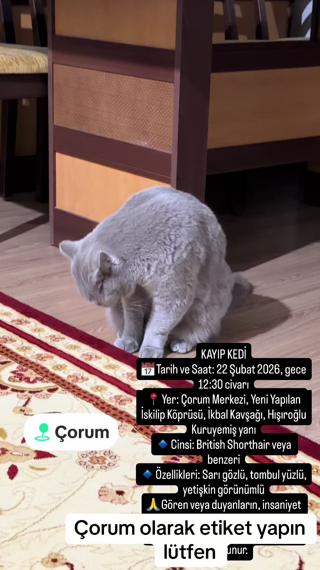 @BULUT KAYIP