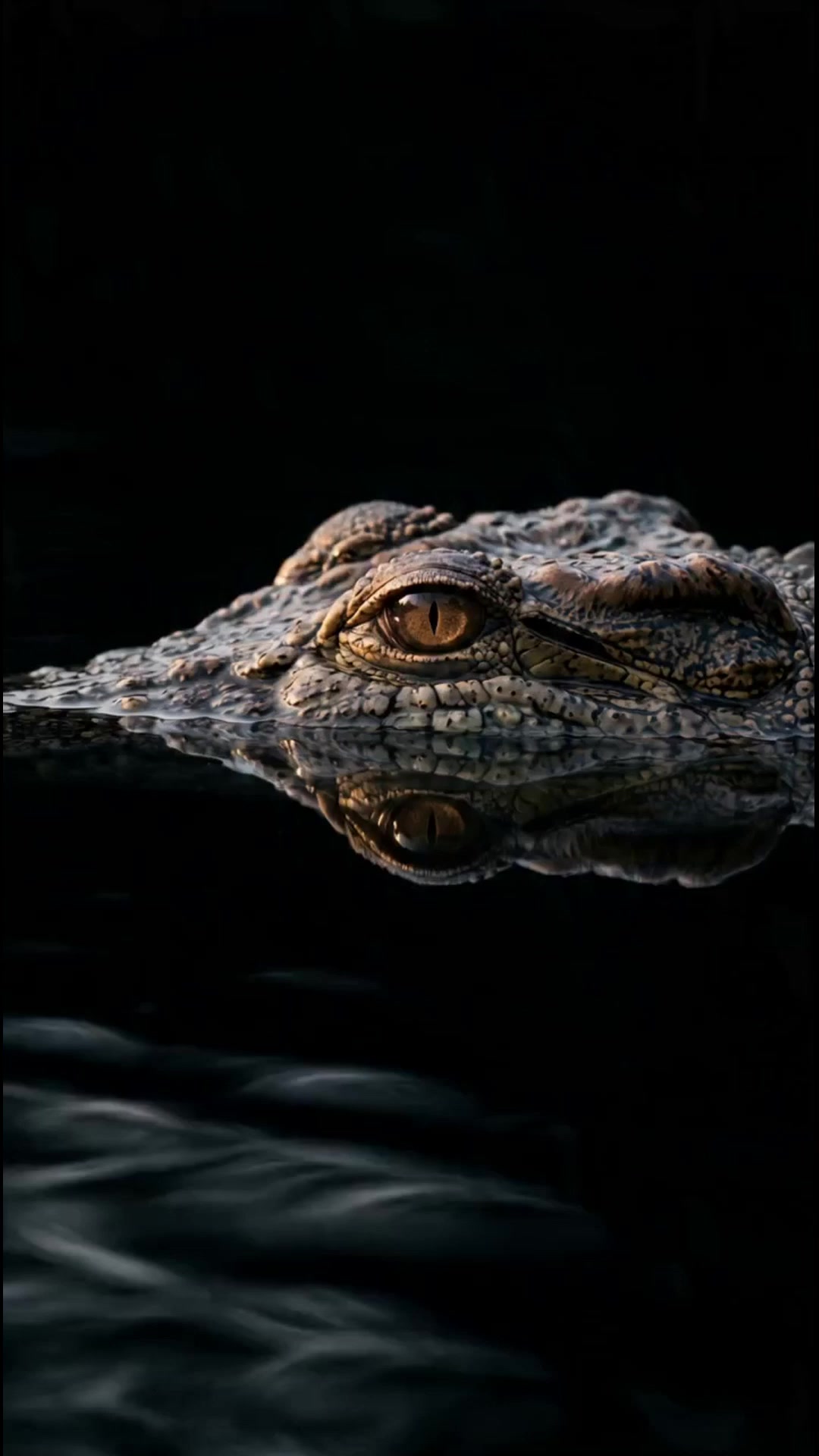 @𝐂𝐇𝐎𝐃𝐘 𝐆𝐑𝐀𝐏𝐇𝐈𝐗