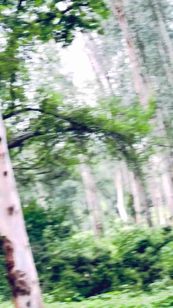 @RK0 Rider.š³šµ