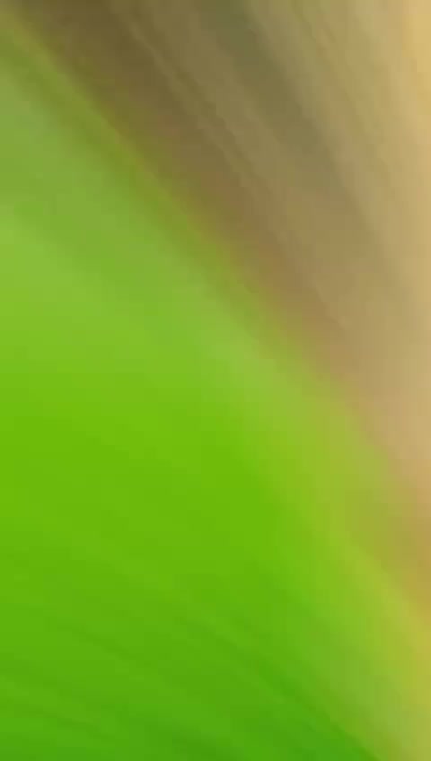 @Rao Sajjad 830