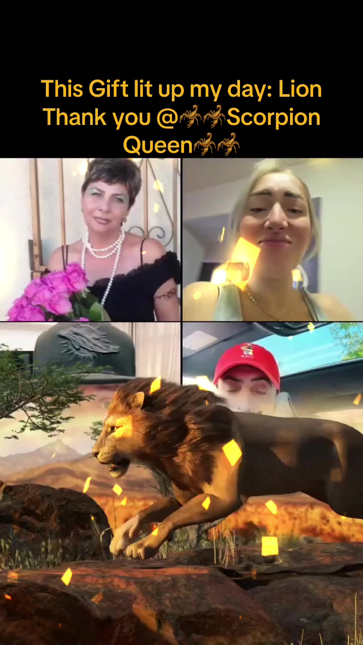@louizfation1