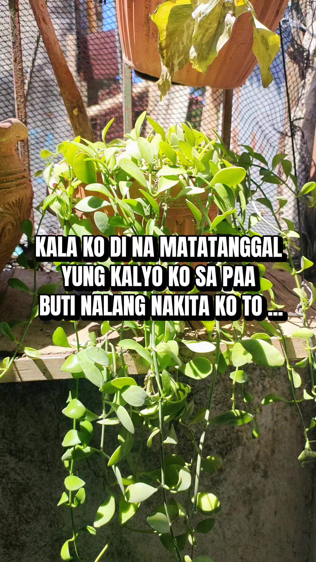 @Nichelle Din