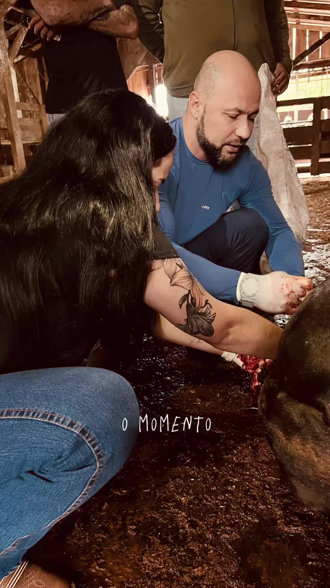 @Maffeiisa
