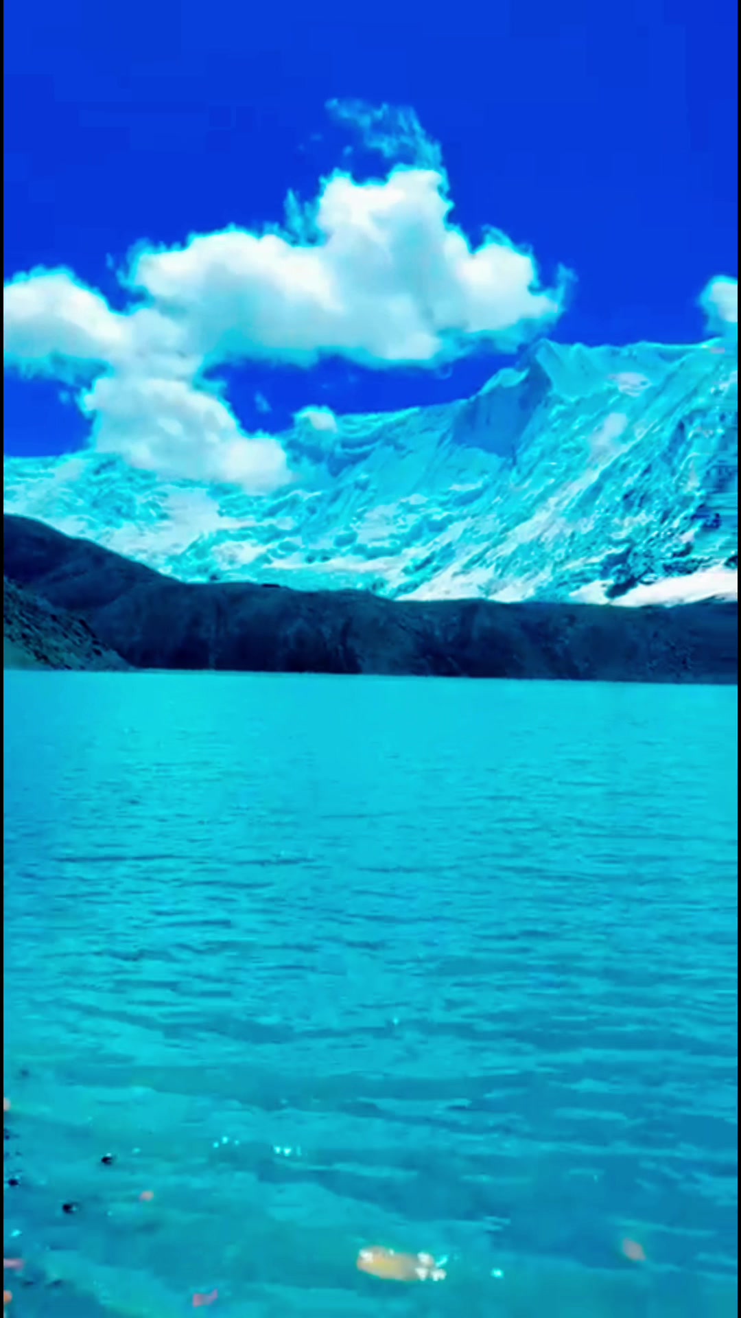 @Avishek