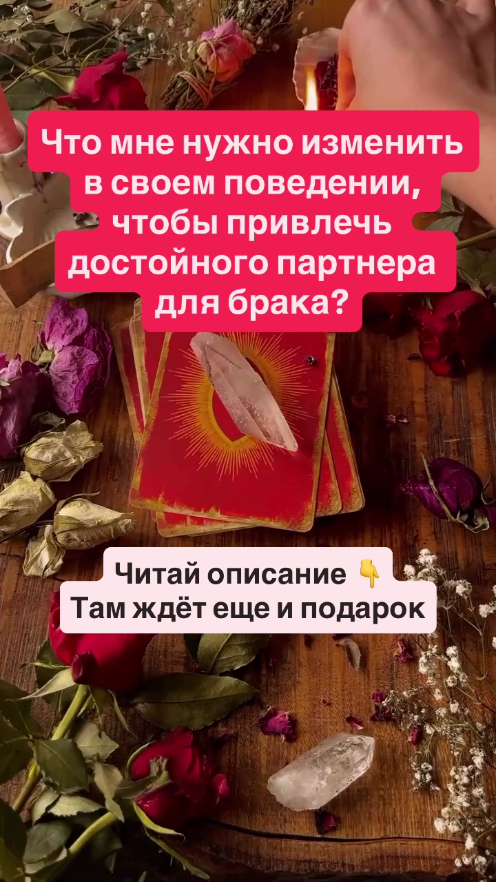 @Твой AI оракул🔮