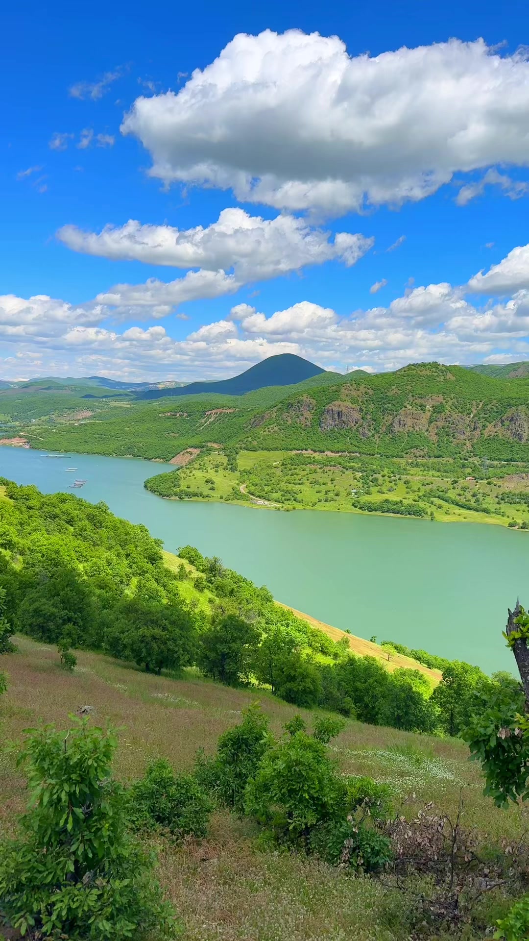 @ferhat1223