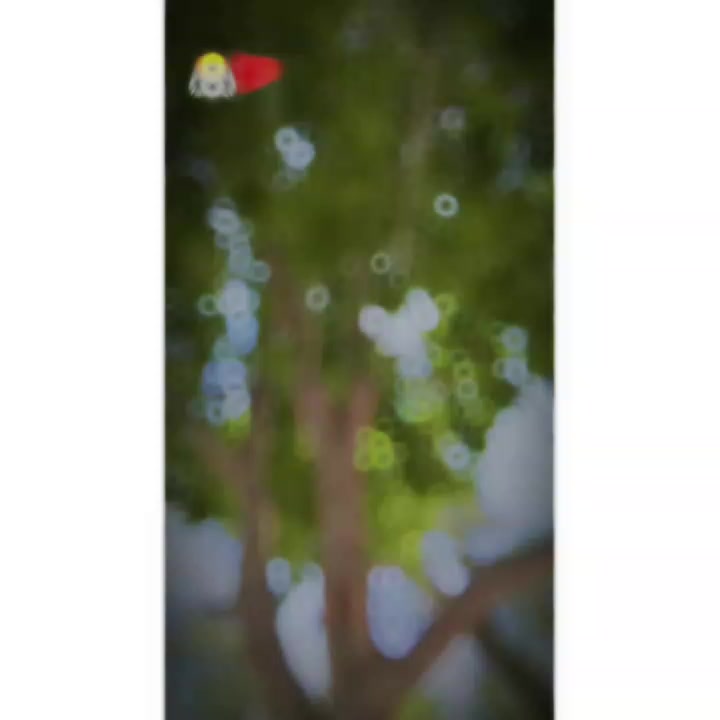 @@𝐀mbarsariy𝐚♨️