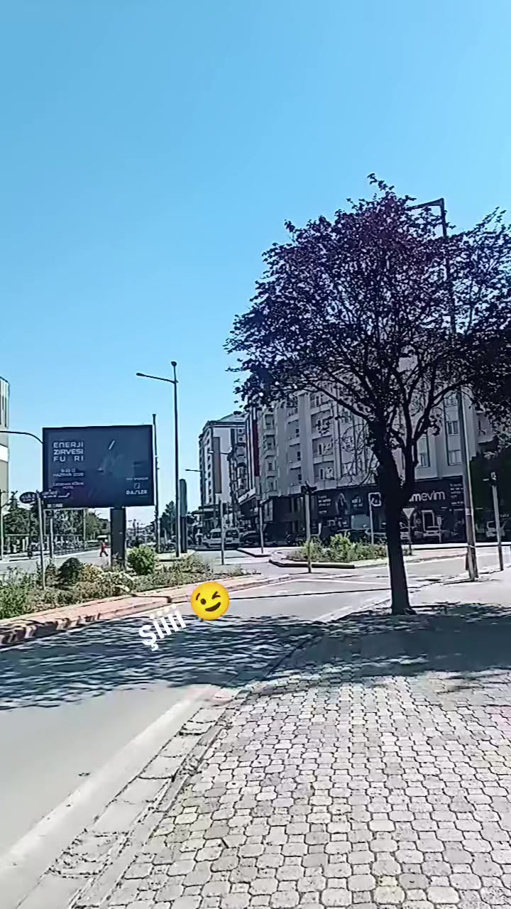 @mevld.dgl
