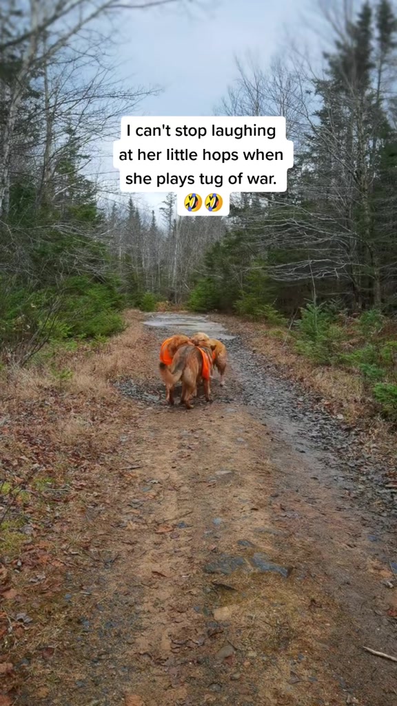 @brianne & your dog probably