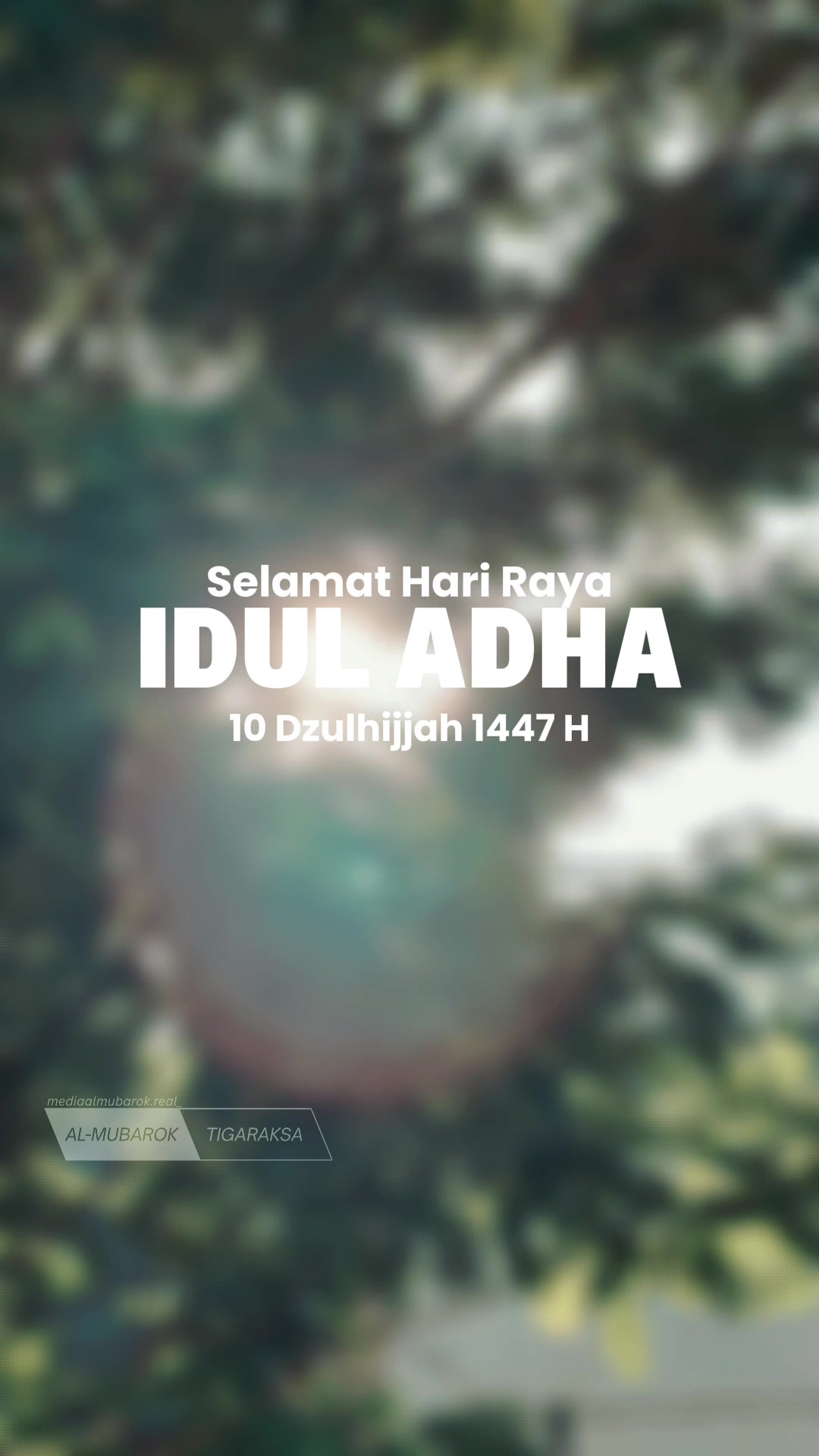 @mediaalmubarok.real_