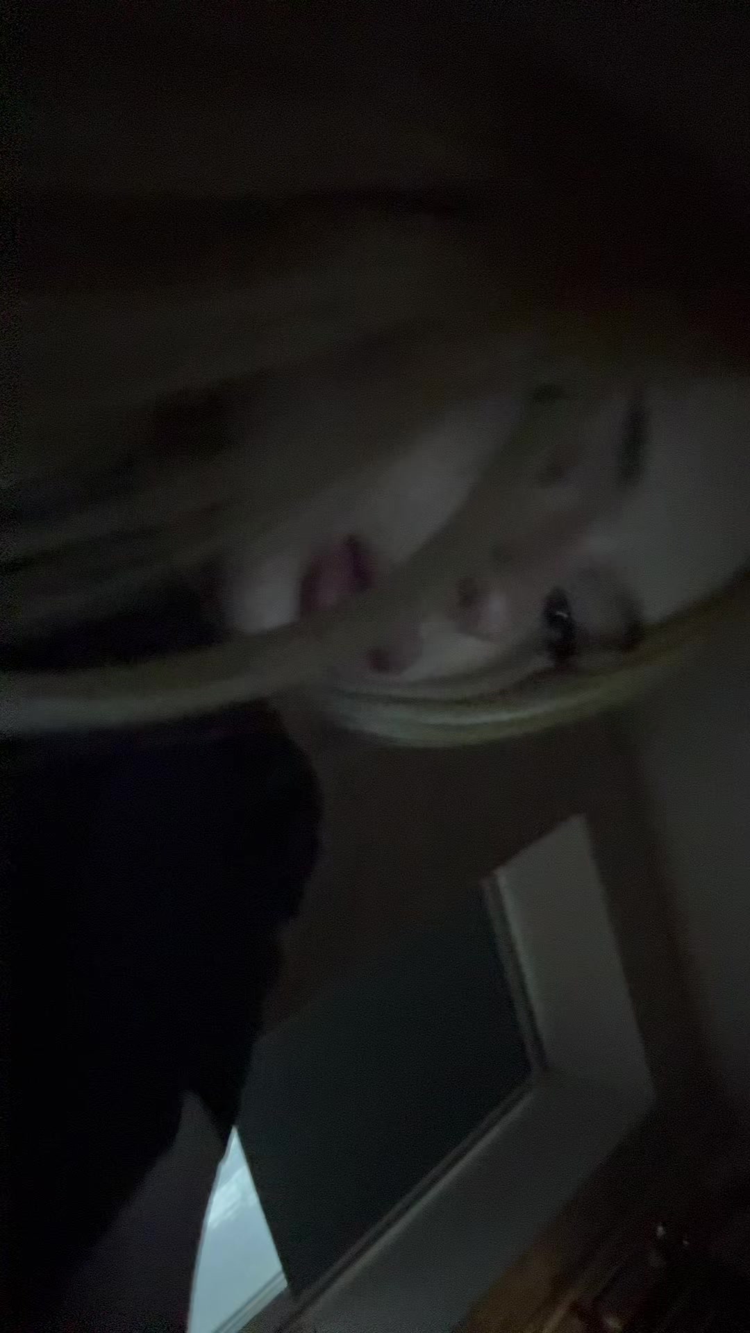 @kiska
