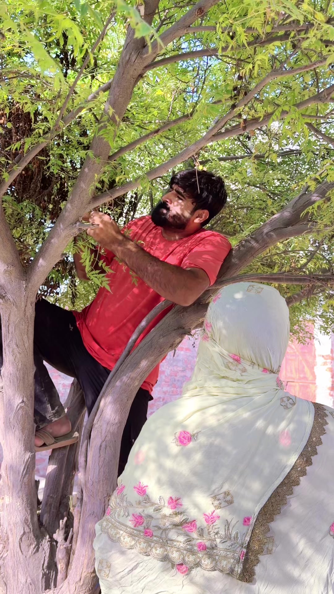 @Doodhwaly1 live