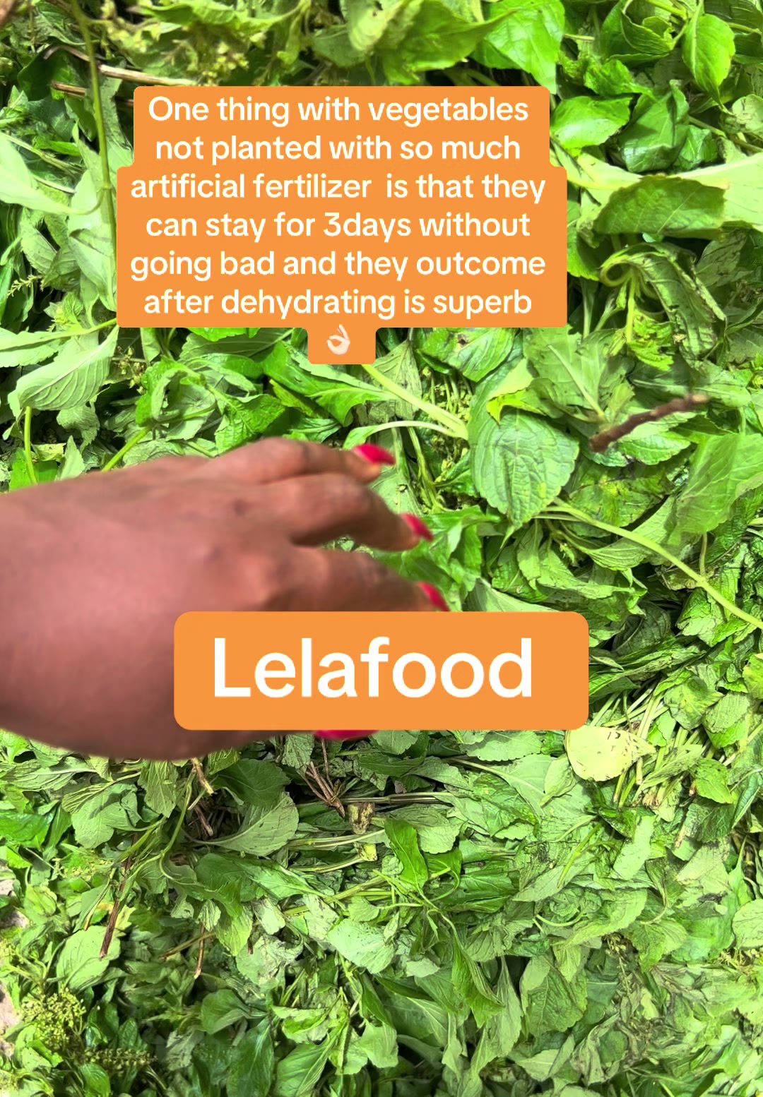 @Lelafood