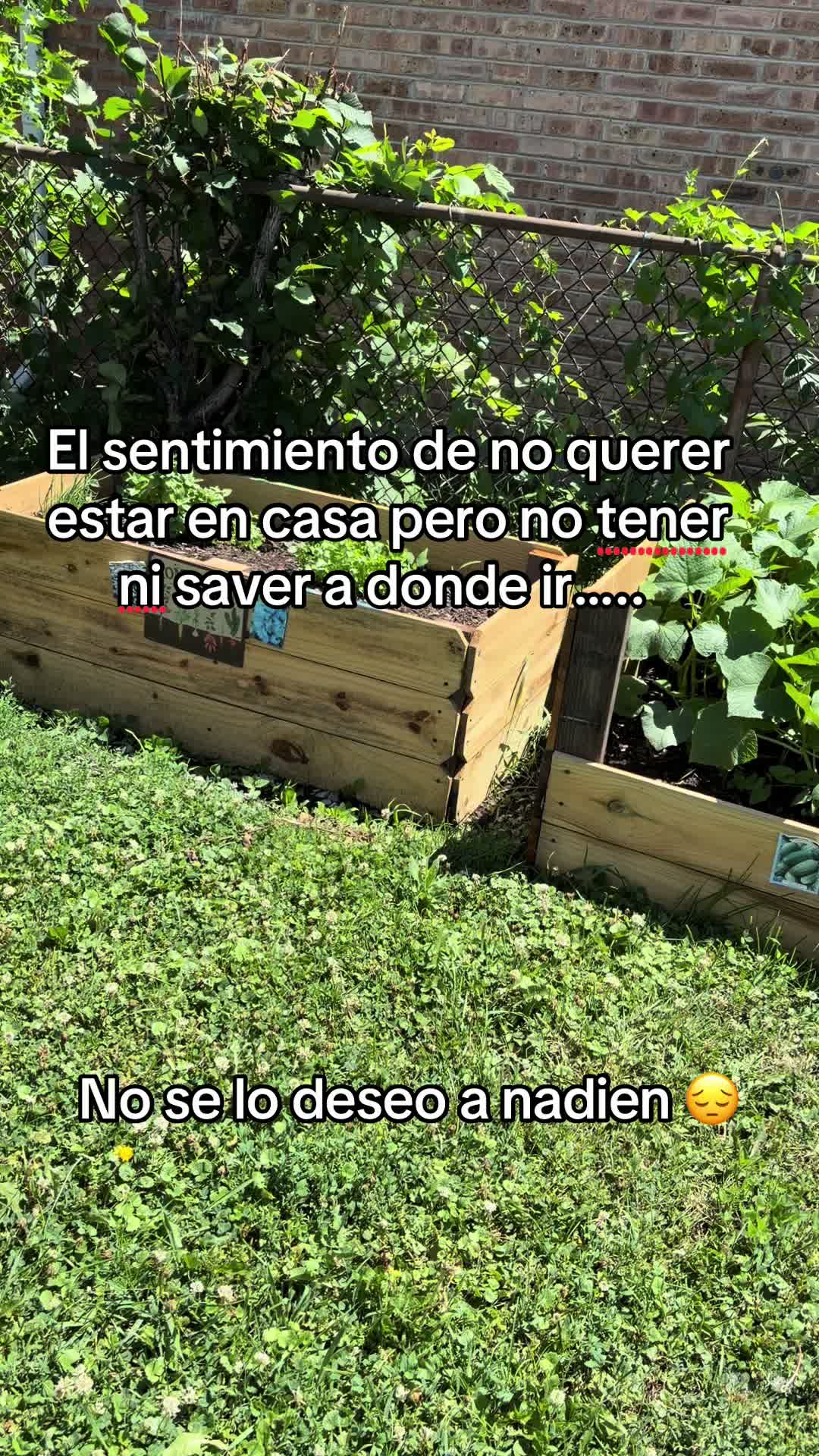 @Juanarodriguez23