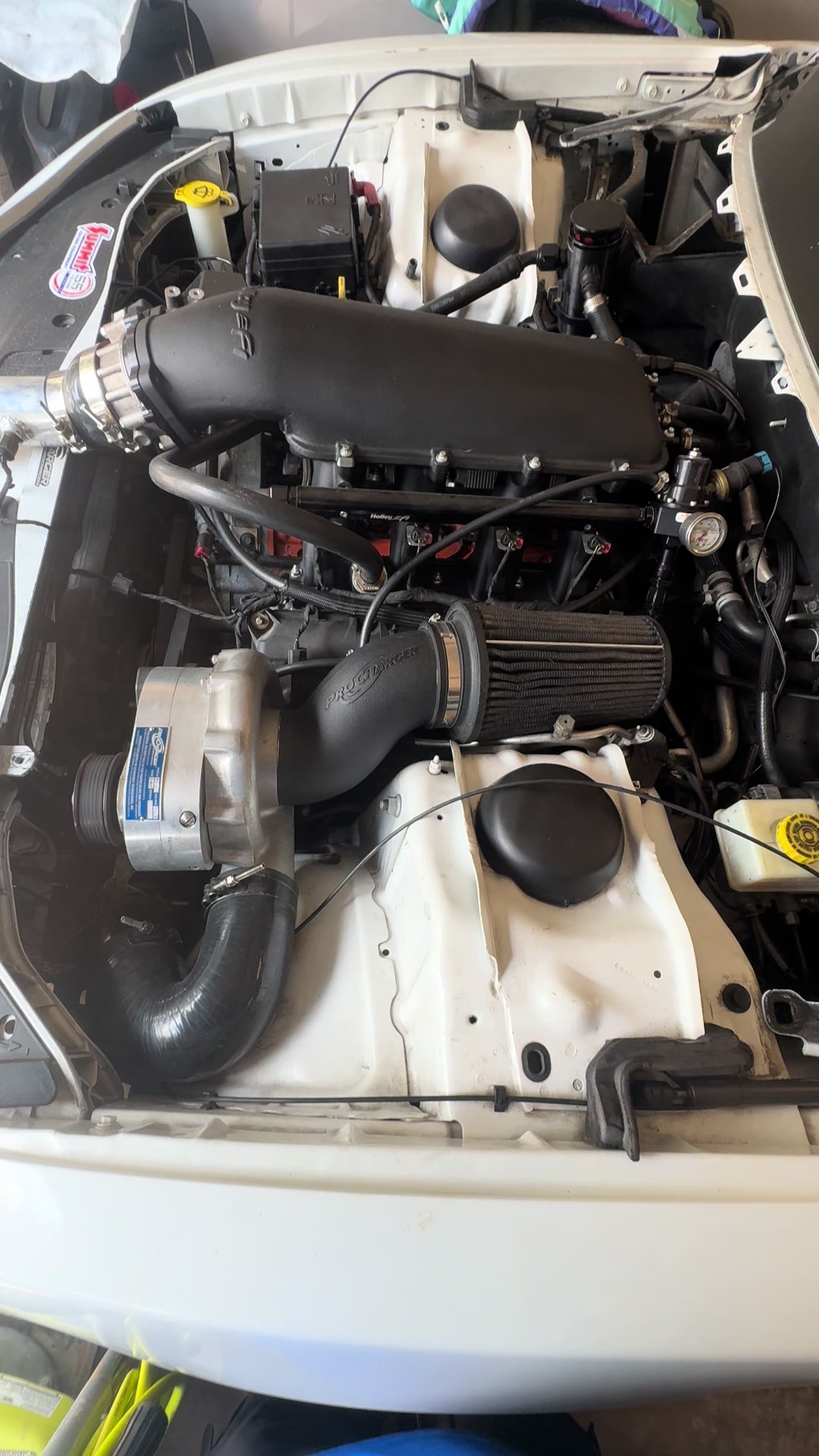 @Onefastscat