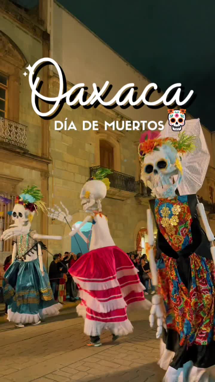 @Dviajeros tours