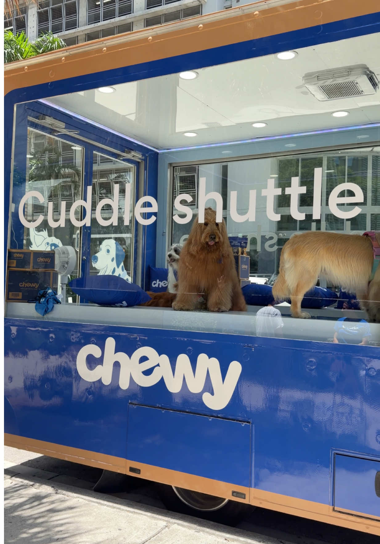 @Brodie The Goldendoodle