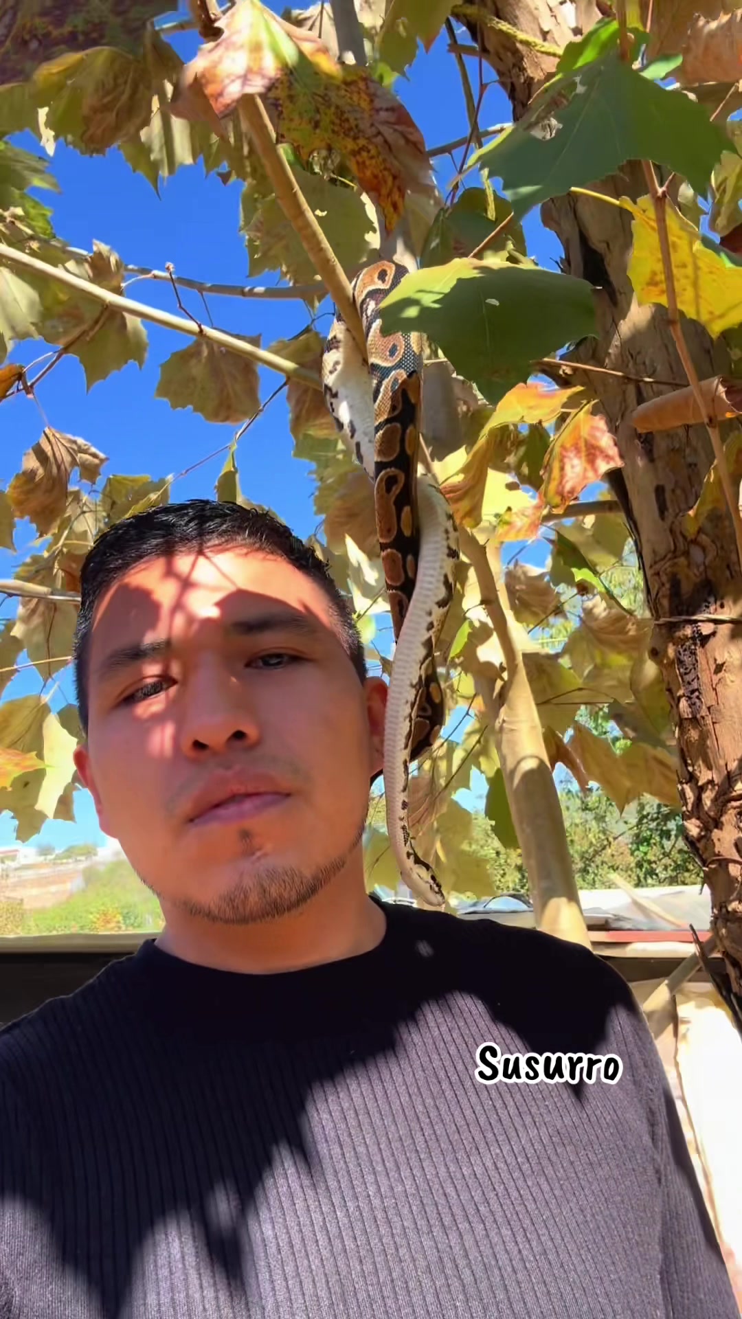 @DE LA CRUZ DE JESÚS