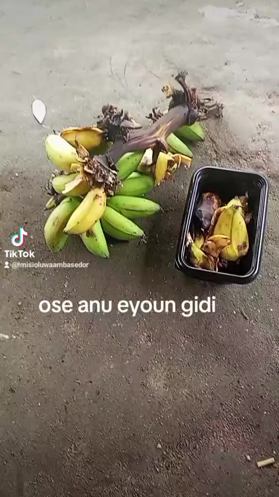 @oba ijinle ogbon agba
