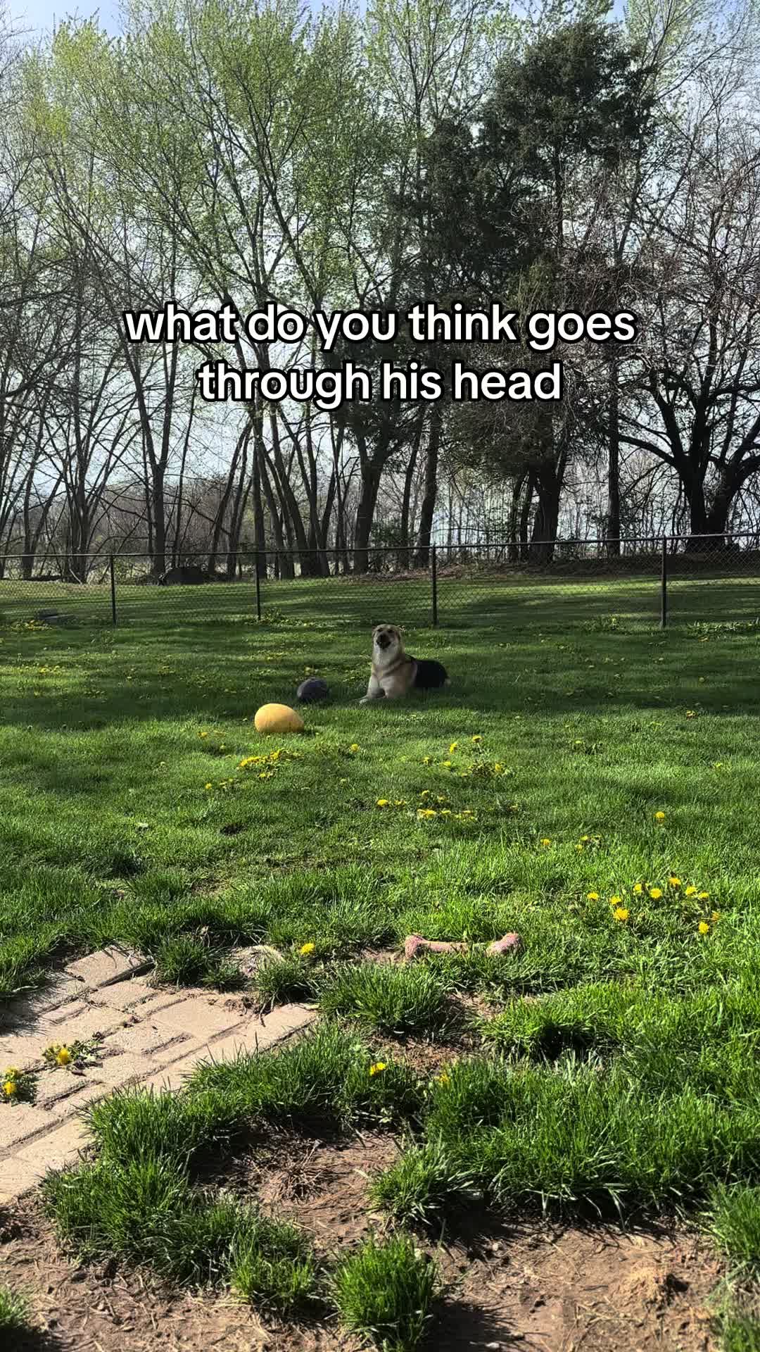 @miloandmoose