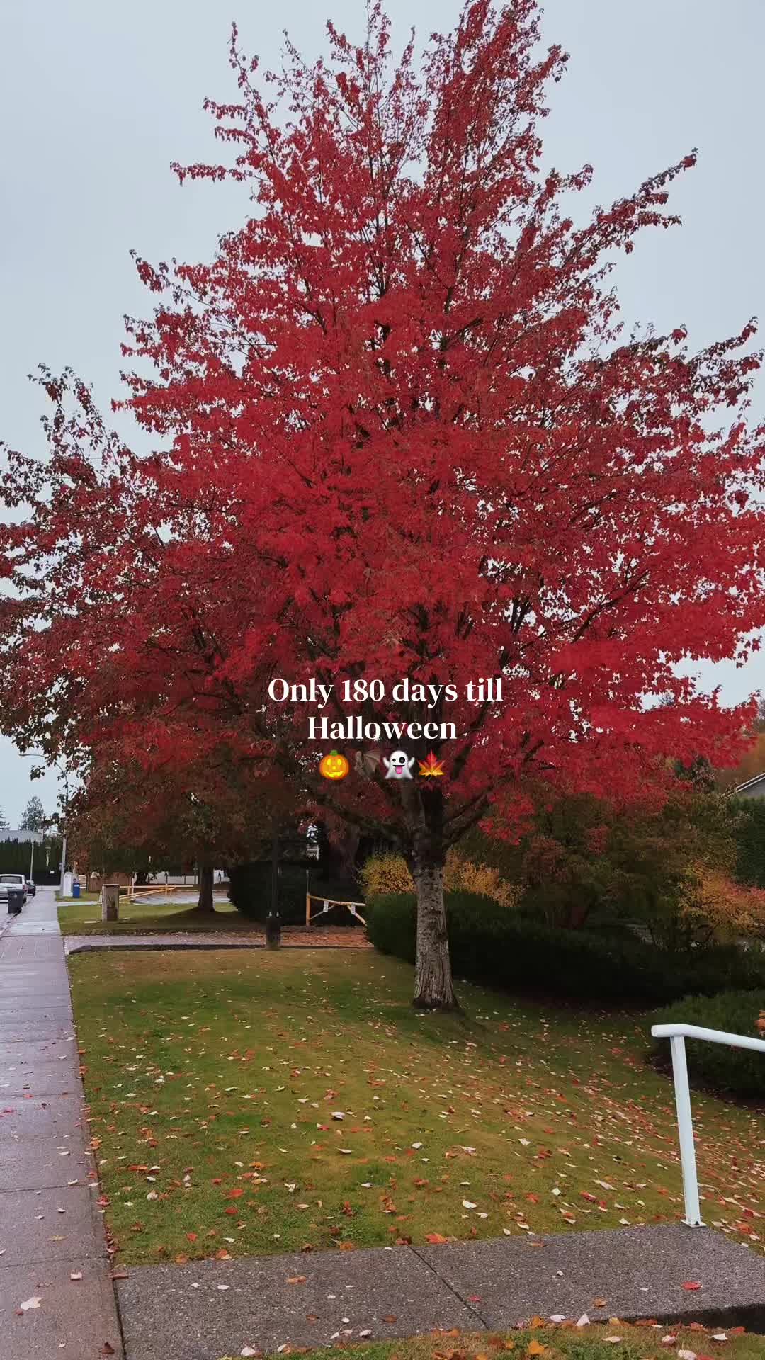 @fall.cozy_vibes