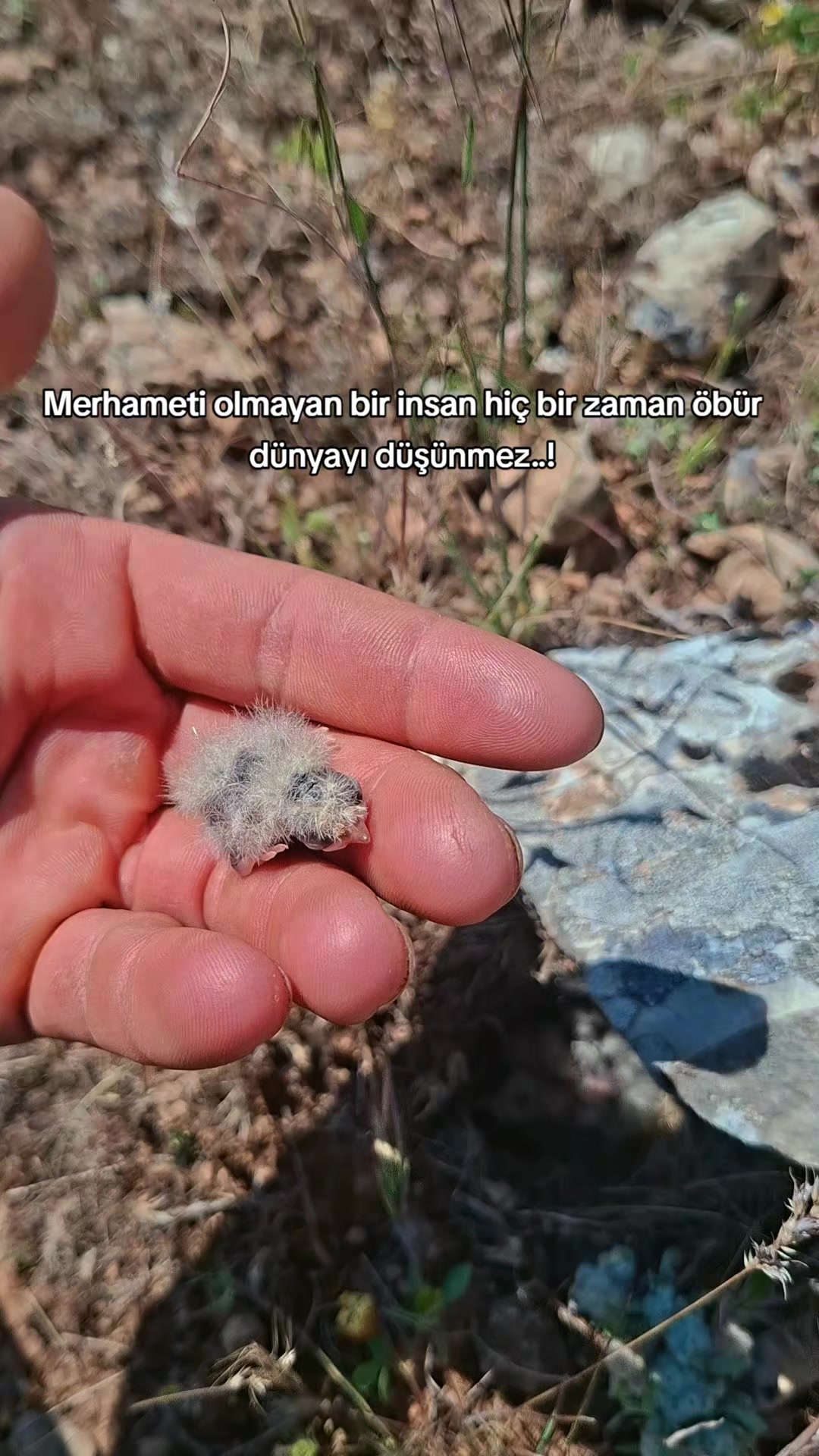 @welat_82