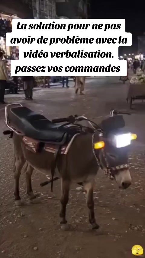 @Dr Hassane