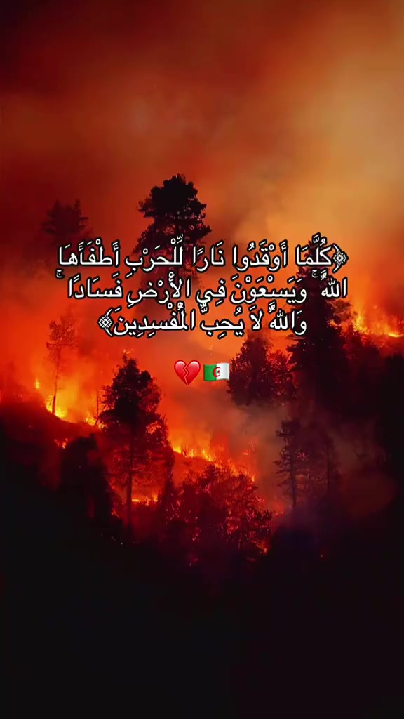 @Fatma 🇩🇿❤️🇵🇸