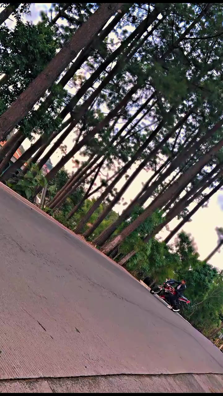 @💥🚀 El De La Rojita 🚀💥