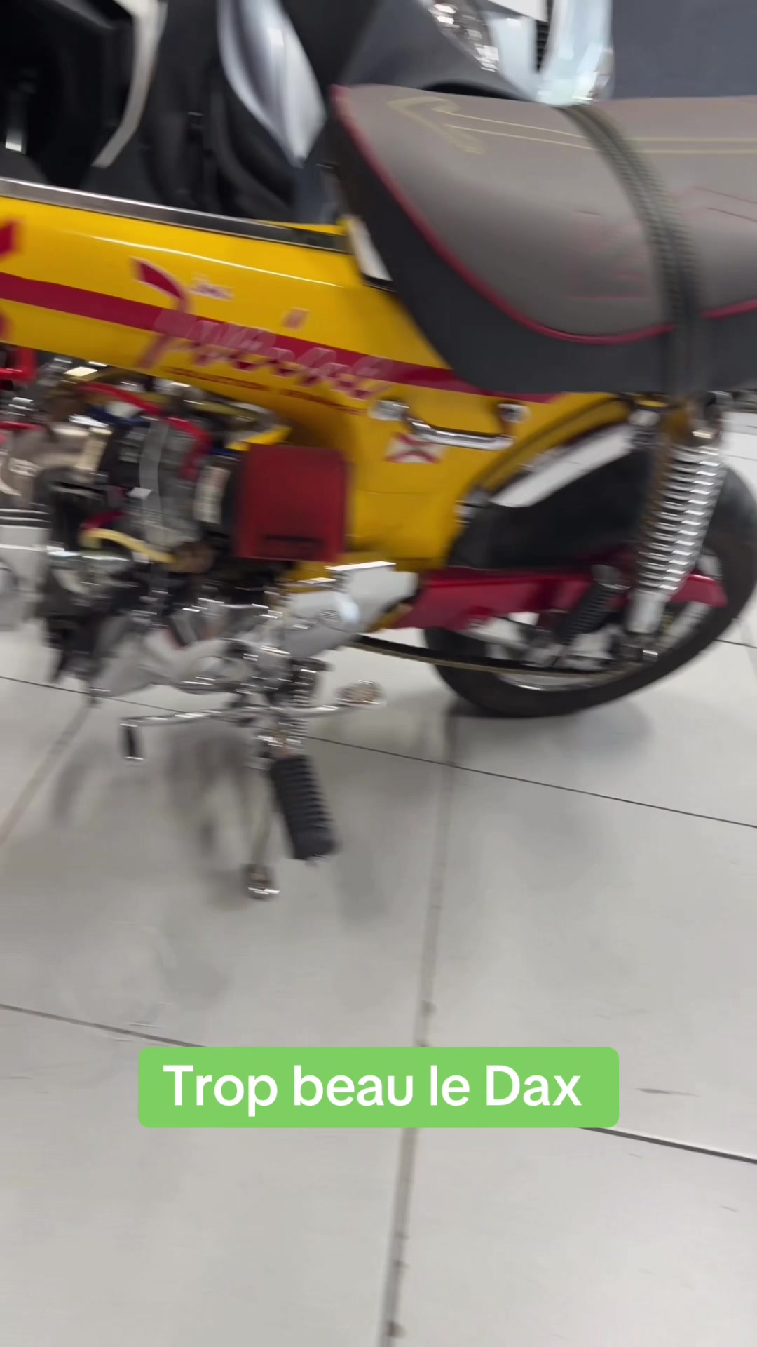 @Automotoplus
