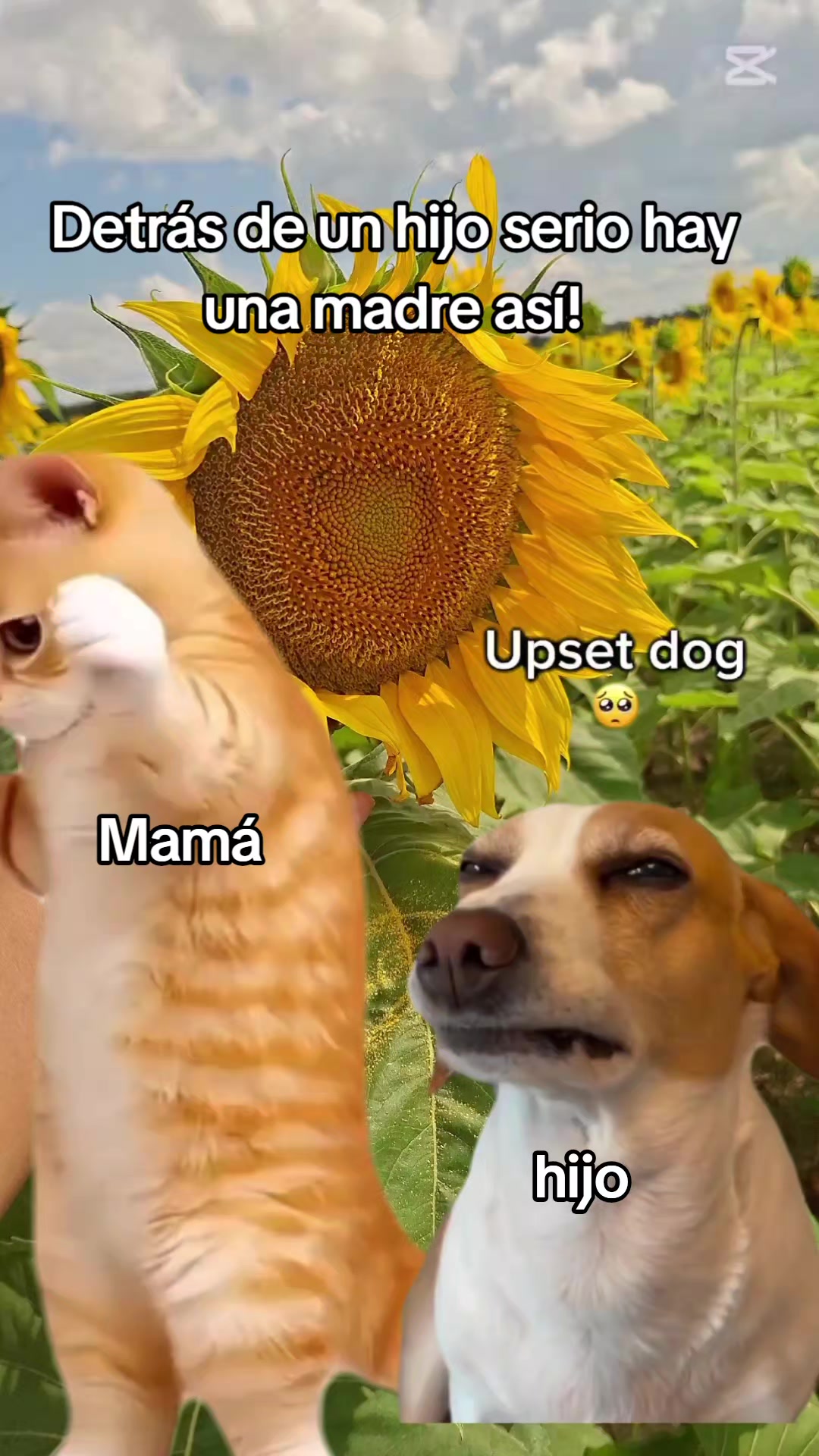 @Marmcenf
