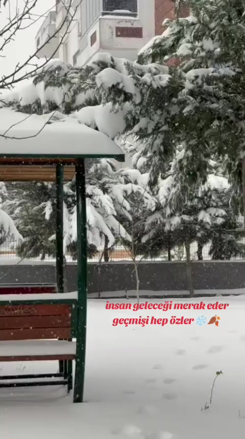 @Gülayy